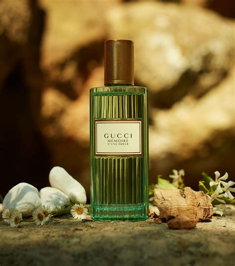 is gucci memoire for men or women|gucci chamomile odeur.